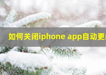 如何关闭iphone app自动更新